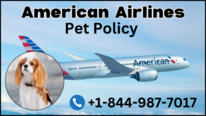 american airlines pet policy