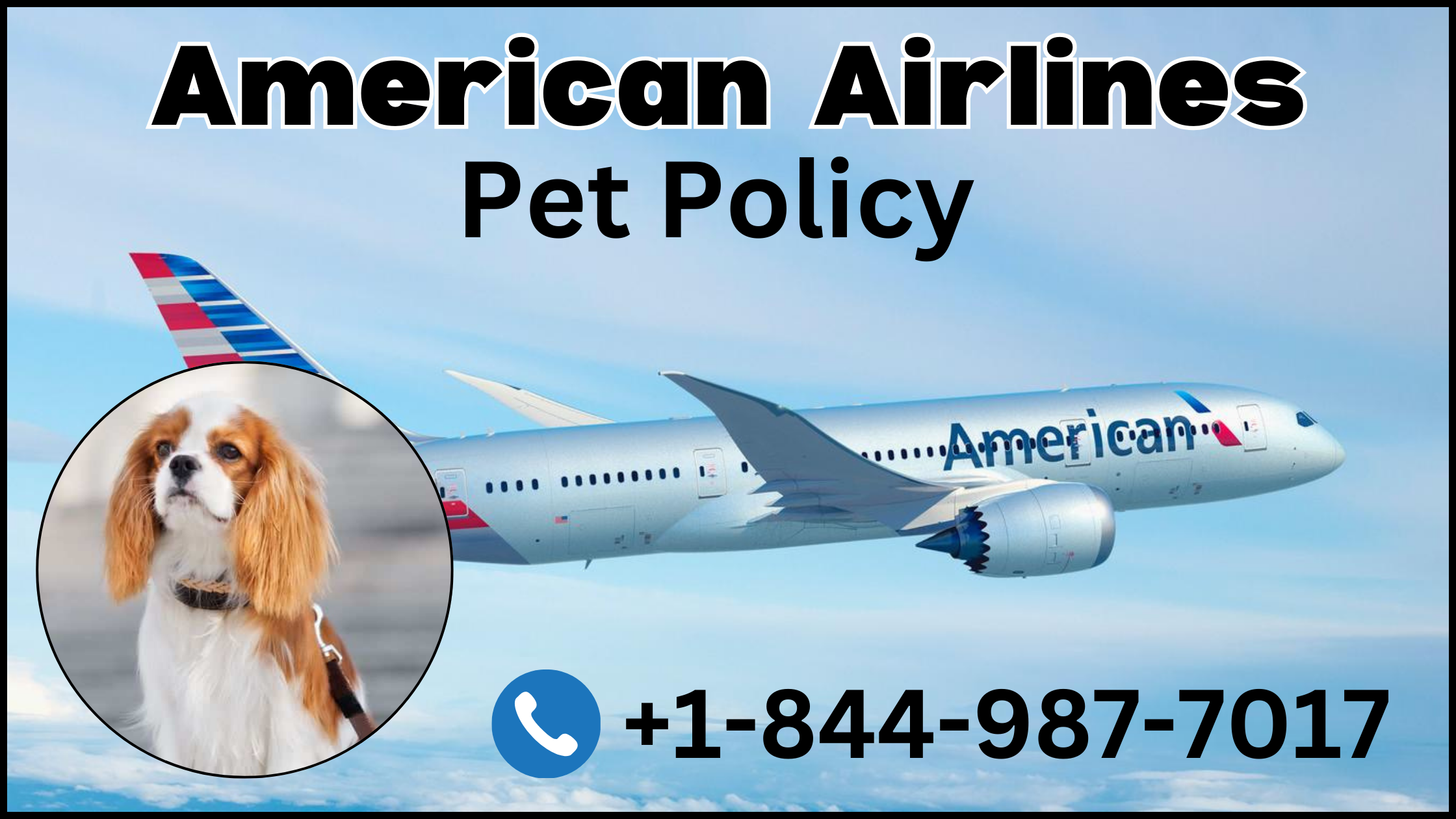 american airlines pet policy