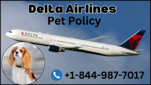 delta airlines pet policy