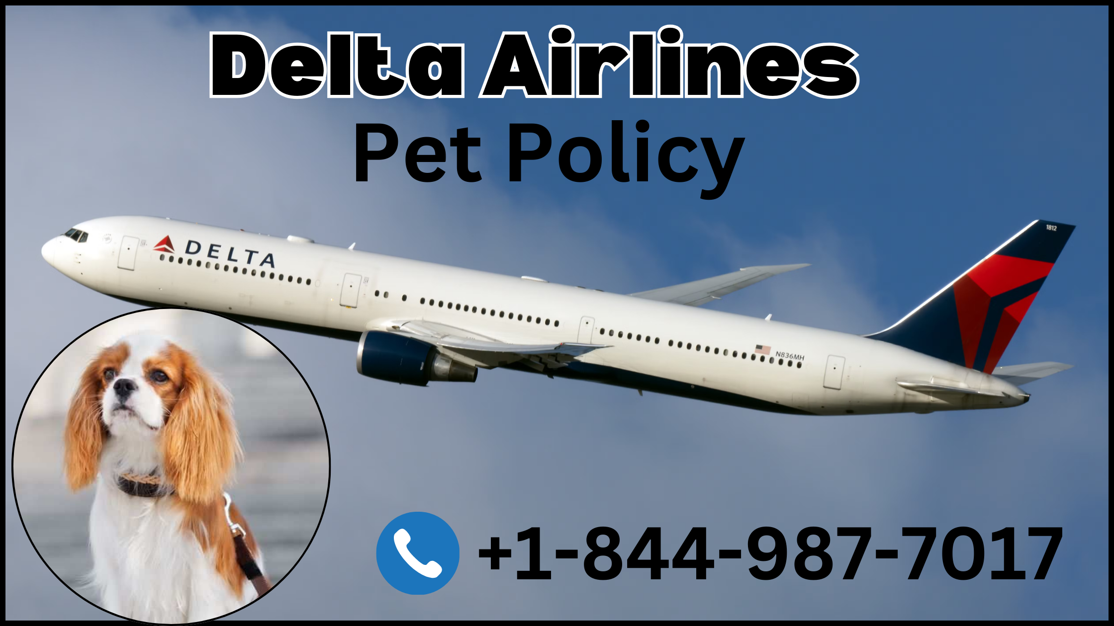 delta airlines pet policy