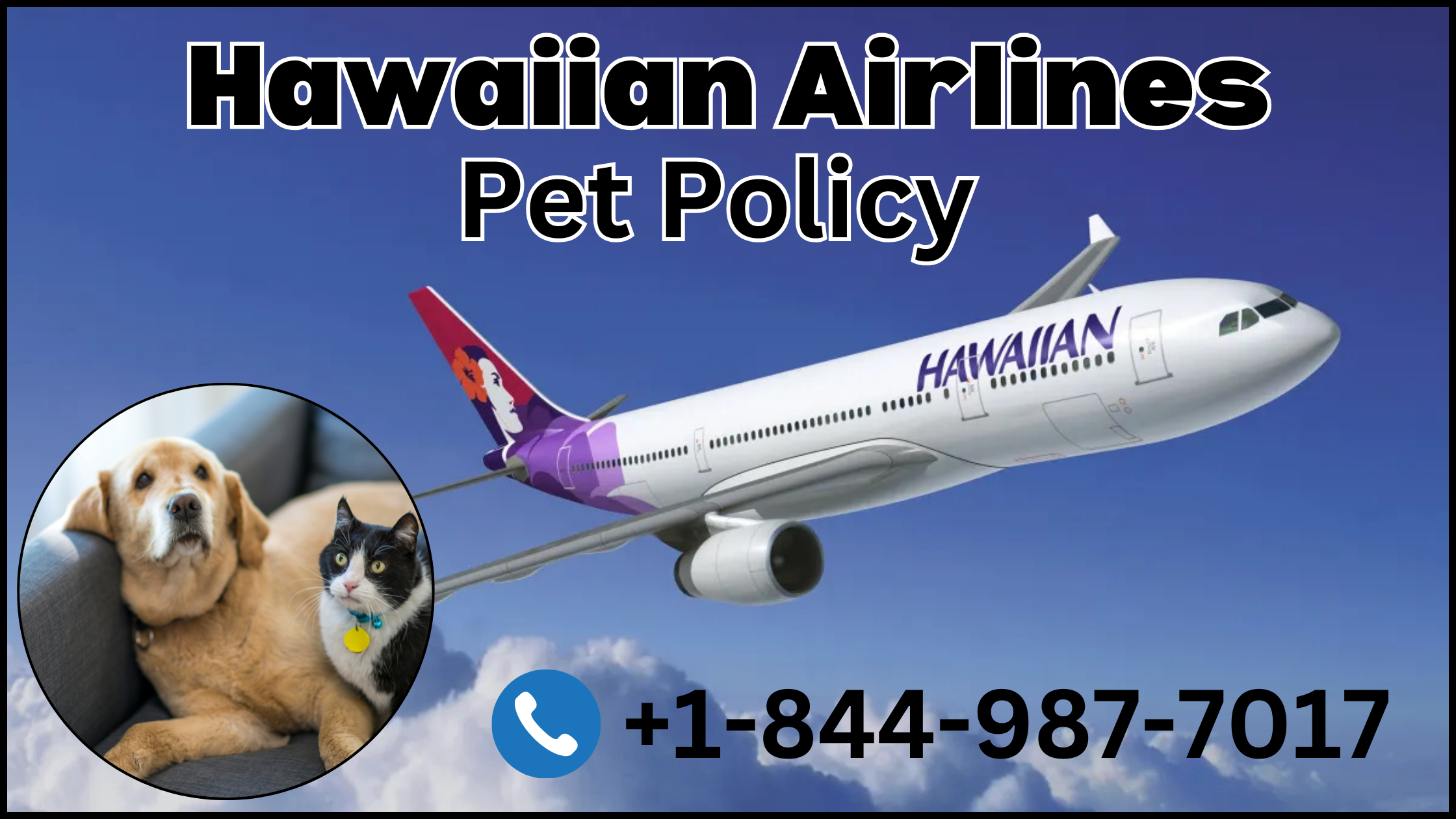 hawaiian airlines pet policy
