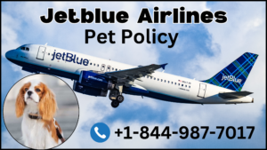 jetblue airlines pet policy