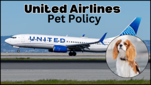 united airlines pet policy